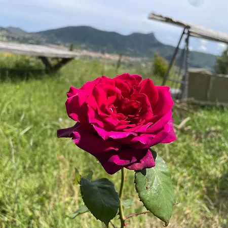 La Casa Nel Vento Alojamento de Acomodação e Pequeno-almoço 3*