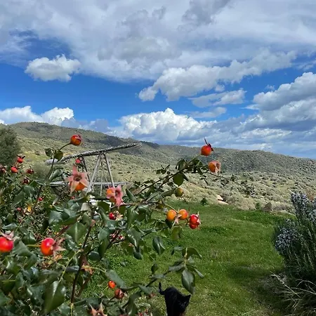 La Casa Nel Vento Bed & Breakfast