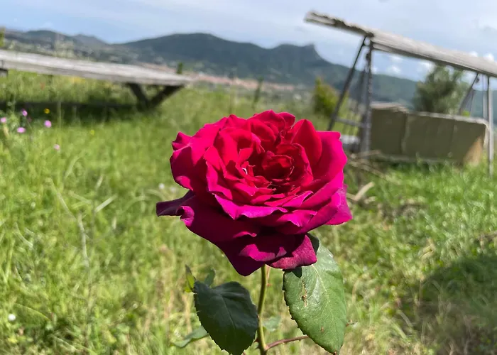 La Casa Nel Vento Bed & Breakfast 3*